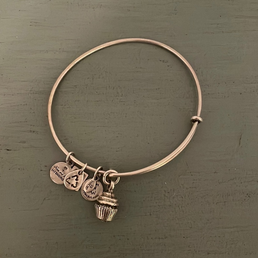 Cupcake Alex and ani bracelet
